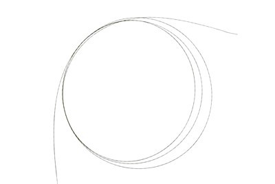 Bann Zebra Guidewire jetab-Bon kalite